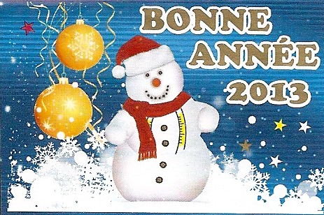 Voeux 2013